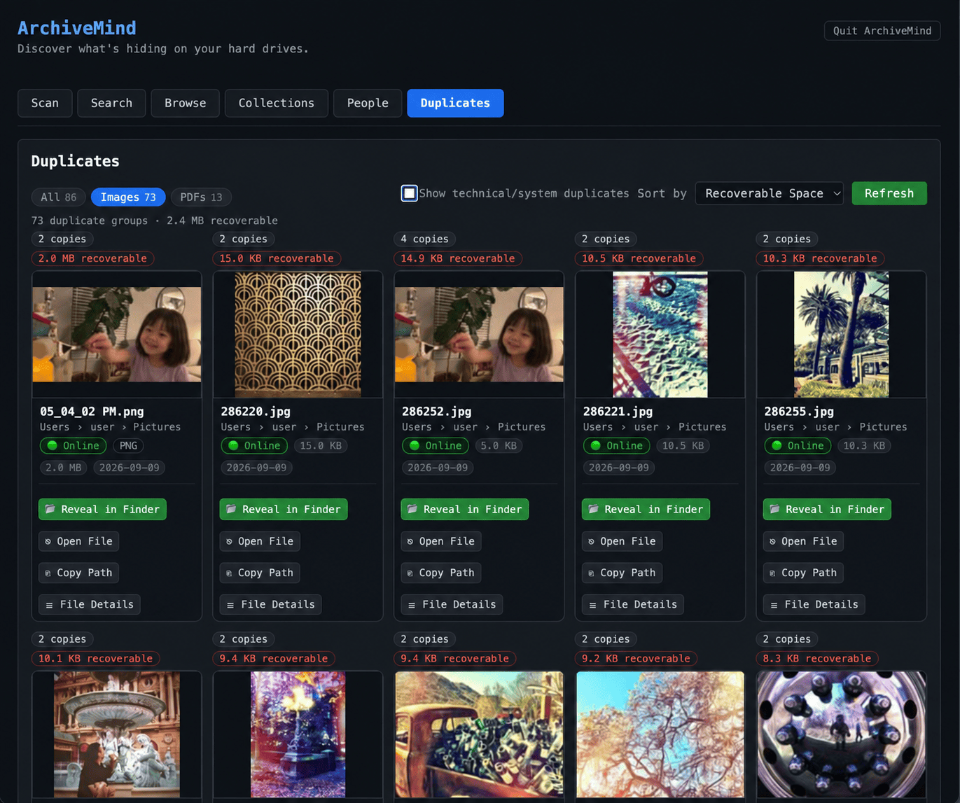 The duplicates view showing groups of identical files with copy counts and recoverable space