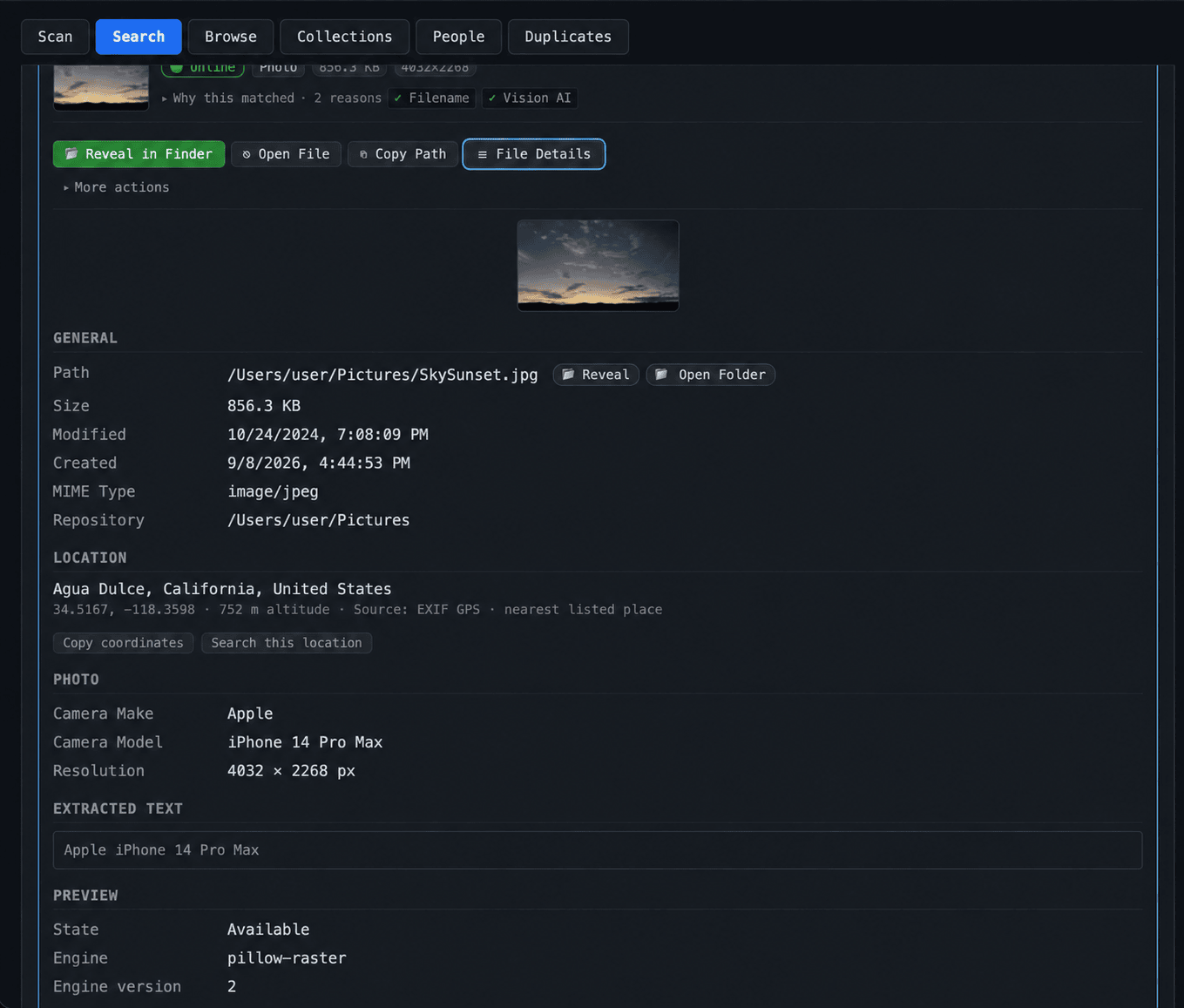 The file details view with a preview, path, size, dates, extracted text, and a duplicate group listing every copy